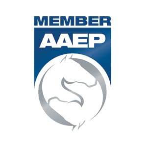web-aaep-logo