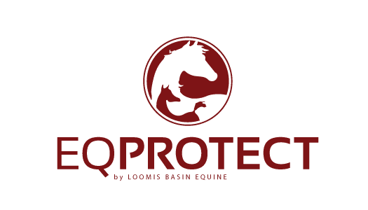 eq-protect-logo