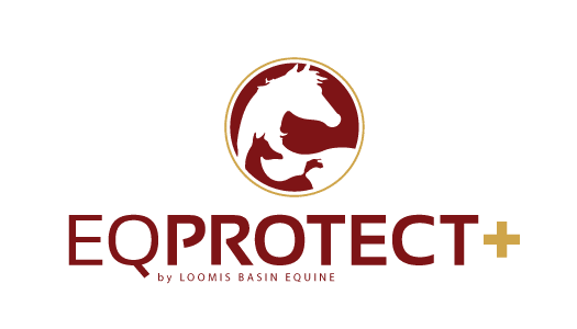 eq-protect-plus-logo