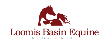 Logo for Loomise Basin Equine Medical Center
