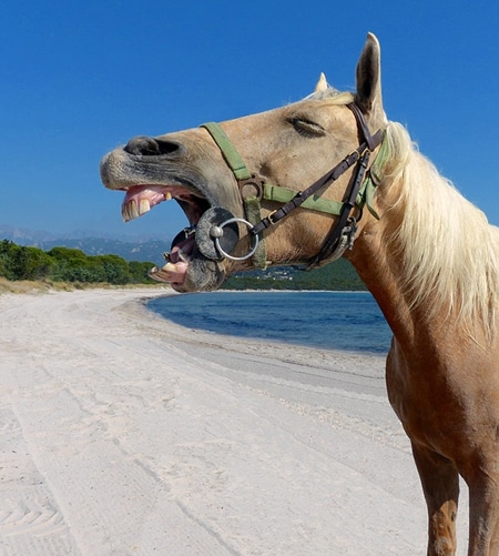 sand-colic-beach