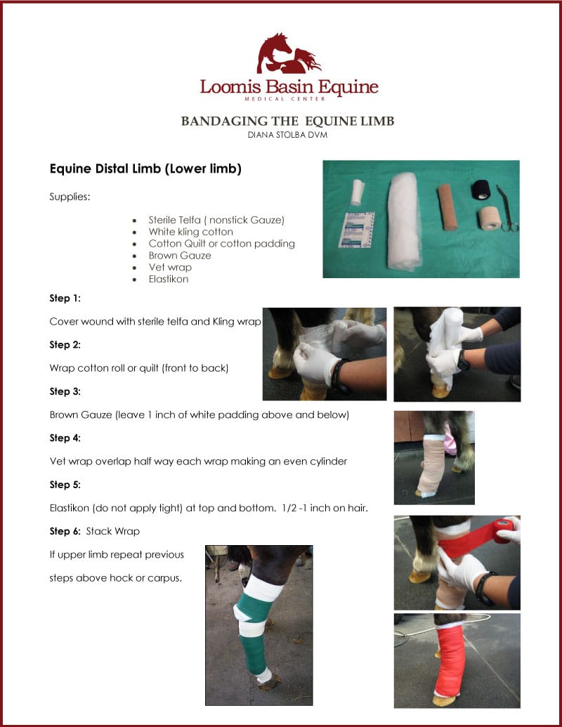 bandaging-equine-limbs