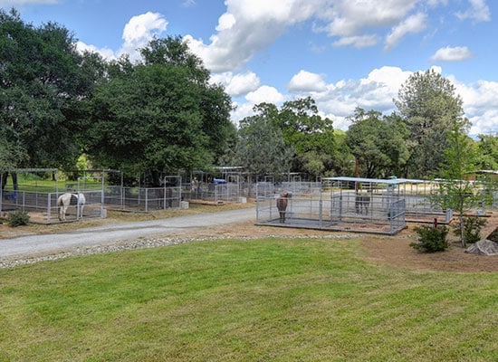 facilities-stall-boarding