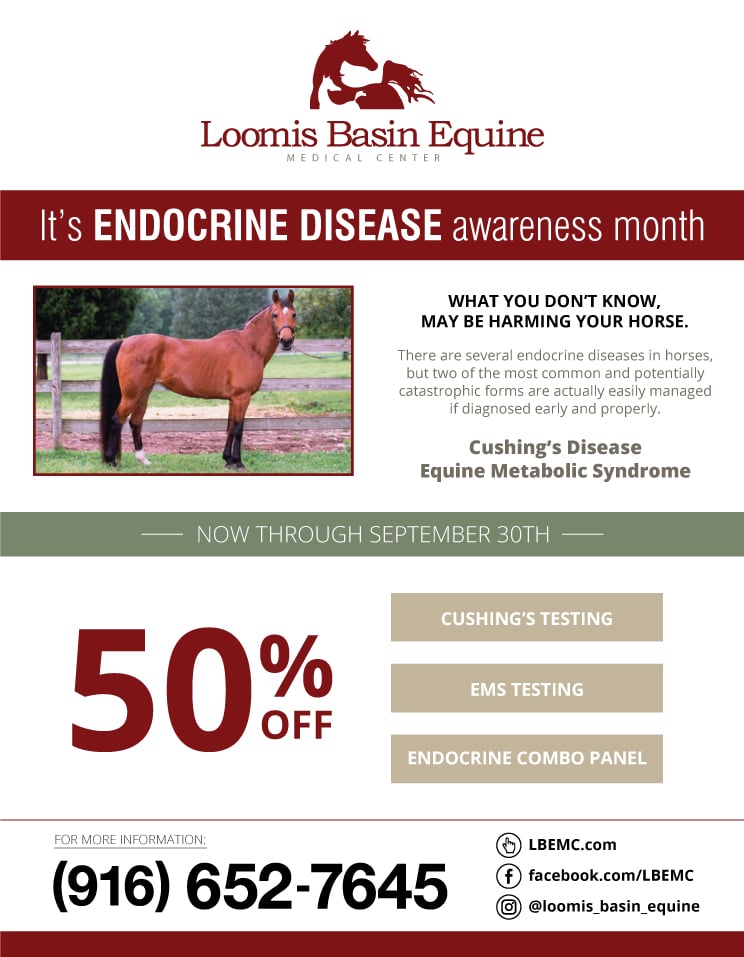 2018-09-Endocrine-testing-flyer-744X957-WEBSITE